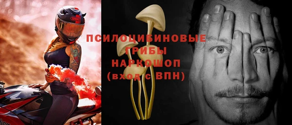 стафф Козельск