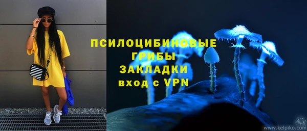 прущая мука Кинешма