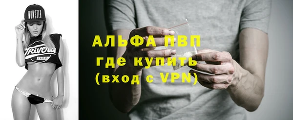 сатива Киренск