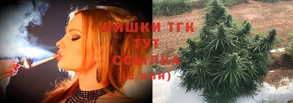 сатива Киренск