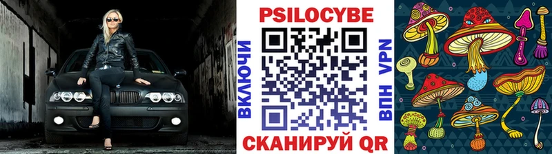 Купить  Торопец  Галлюциногенные грибы ЛСД 