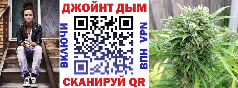 Купить где  Торопец  Канабис ГИДРОПОН 